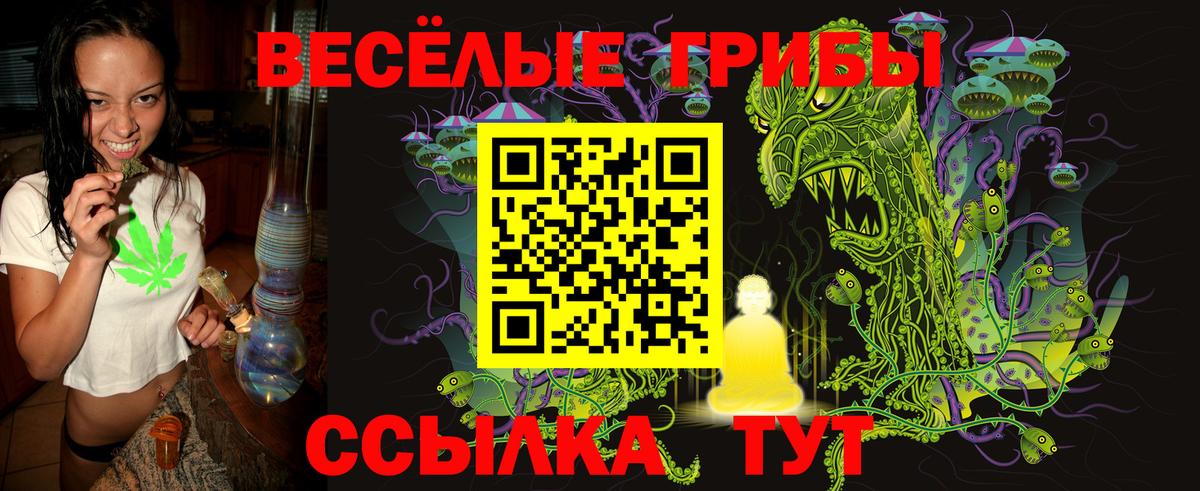 Галлюциногенные грибы MAGIC MUSHROOMS  Вход с VPN  Алушта 