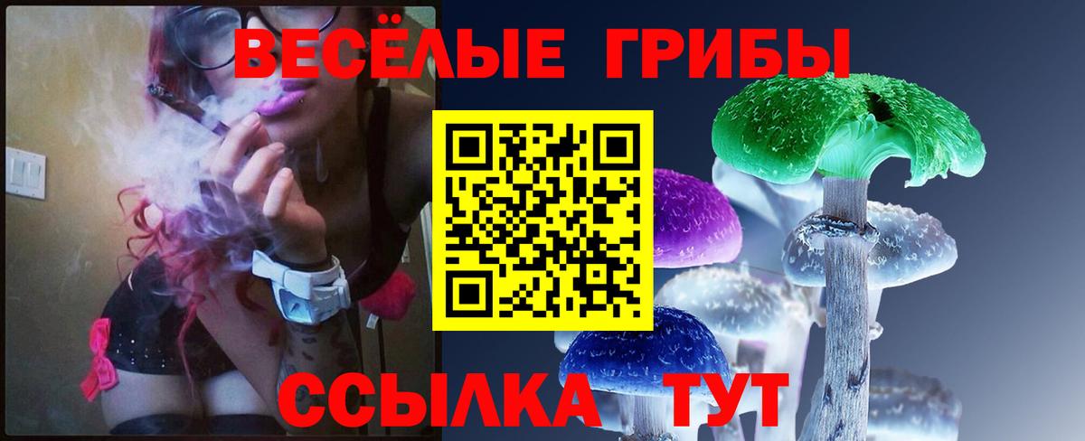 Псилоцибиновые грибы мухоморы Алушта